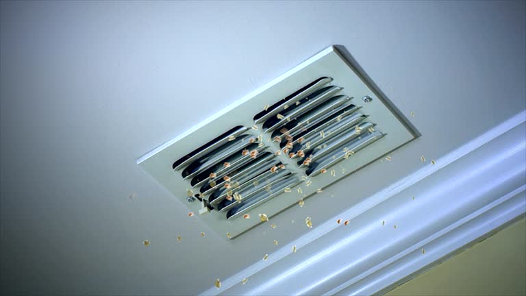 Best Affordable Duct Cleaning Services  in Montgomery, WV